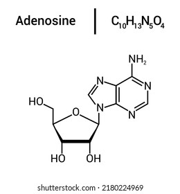 chemical structure of Adenosine (C10H13N5O4)