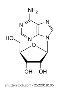 Chemical structure of adenosine, drug substance