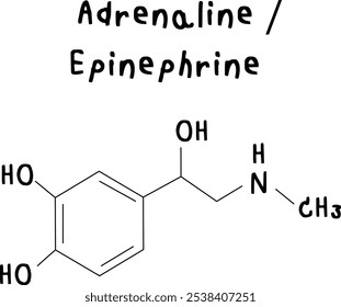 chemical structure of adrenaline or epinephrine on transparency backgroud