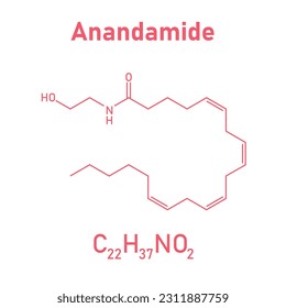 Chemical structure of Anandamide (C22H37NO2). Chemical resources for teachers and students. Vector illustration isolated on white background.