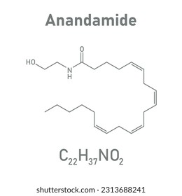 Chemical structure of Anandamide (C22H37NO2). Chemical resources for teachers and students. Vector illustration isolated on white background.