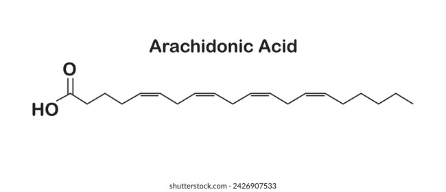 The chemical structure of arachidonic acid showing linear . AA, ARA molecule. It is an unsaturated omega-6 fatty acid, a precursor to the biosynthesis of prostaglandins, thromboxane and leukotrienes. 