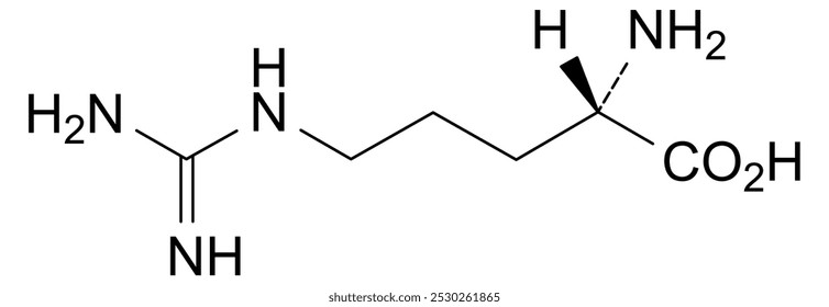 Estrutura química da arginina, substância medicamentosa