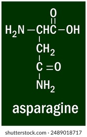 Chemical structure of the asparagine