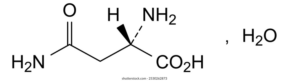 Estrutura química da asparagina monohidratada, substância medicamentosa
