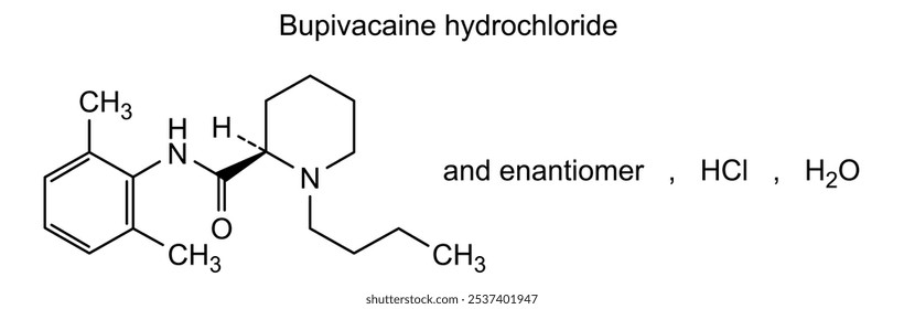 Estrutura química do cloridrato de bupivacaína, substância medicamentosa