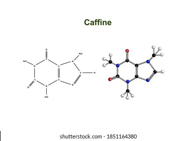 Chemical structure of caffine vector design illustration