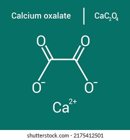 Chemical Structure Of Calcium Oxalate (CaC2O4)