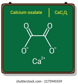 Chemical Structure Of Calcium Oxalate (CaC2O4)