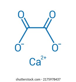 Chemical Structure Of Calcium Oxalate (CaC2O4)