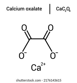 Chemical Structure Of Calcium Oxalate (CaC2O4)