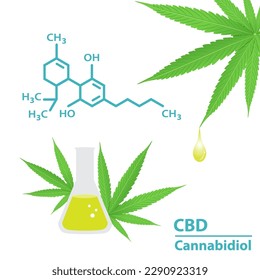 Estructura química del vector de cannabidiol sobre fondo blanco. Gota de extracto de cannabis, cáñamo, ganja, marihuana, hachís. CBD en un vaso con hojas de cannabis. Ilustración médica del concepto de cannabis.