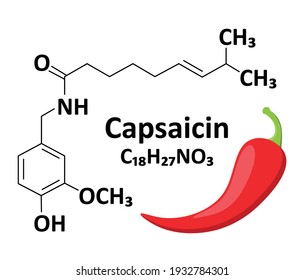 Chemical structure of Capsaicin, a hot composition in most pepper in the world