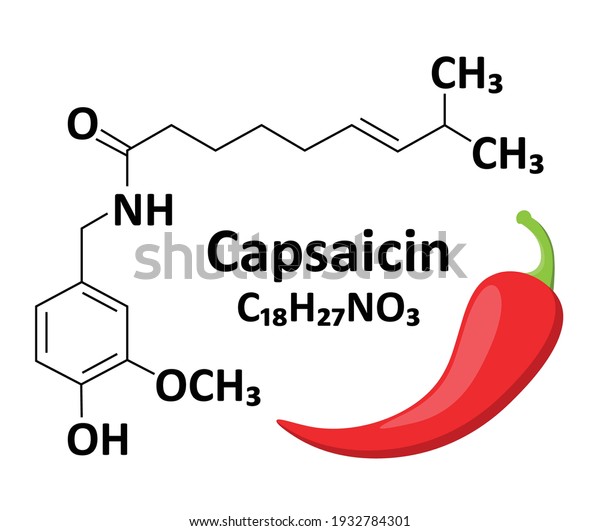 Chemical Structure Capsaicin Hot Composition Most Stock Vector (Royalty