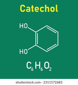 Chemische Struktur von Catechol (C6H6O2). Chemische Ressourcen für Lehrer und Studenten. Vektorgrafik einzeln auf weißem Hintergrund.