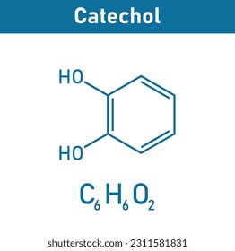 Chemical structure of Catechol (C6H6O2). Chemical resources for teachers and students. Vector illustration isolated on white background.