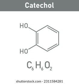 Chemical structure of Catechol (C6H6O2). Chemical resources for teachers and students. Vector illustration isolated on white background.
