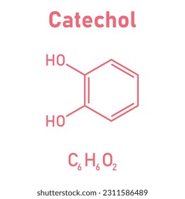 Chemical structure of Catechol (C6H6O2). Chemical resources for teachers and students. Vector illustration isolated on white background.