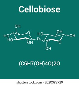 chemical structure of Cellobiose (C6H7(OH)4O)2O