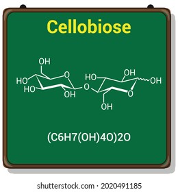 chemical structure of Cellobiose (C6H7(OH)4O)2O