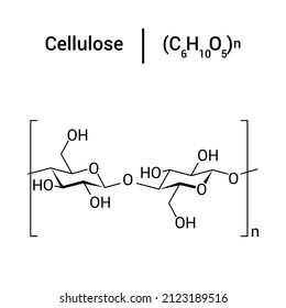 chemical structure of Cellulose (C6H10O5)n