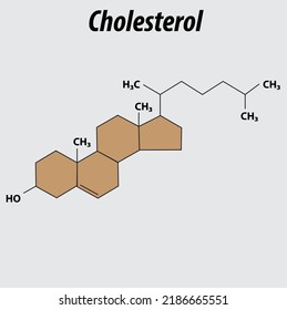 Chemical structure of cholesterol vector graphic with layers