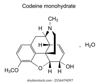 Chemical structure of codeine monohydrate, drug substance