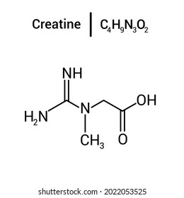 Chemical Structure Creatine C4h9n3o2 Stock Vector (Royalty Free ...