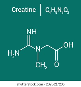 chemical structure of creatine (C4H9N3O2)
