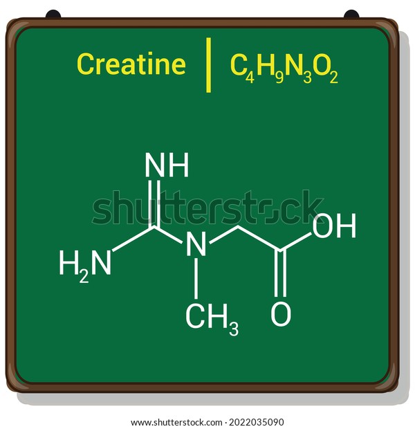 Chemical Structure Creatine C4h9n3o2 Stock Vector (Royalty Free