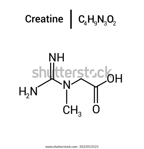 Chemical Structure Creatine C4h9n3o2 Stock Vector (Royalty Free ...