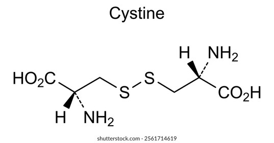 Chemical structure of cystine, drug substance