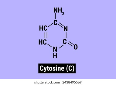 Estructura química de la citosina (C)