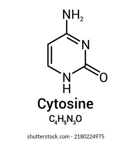 Chemical Structure Of Cytosine (C4H5N3O)