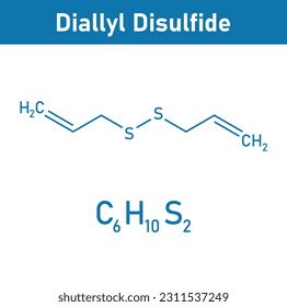 Chemical structure of Diallyl disulfide (C6H10S2). Chemical resources for teachers and students. Vector illustration isolated on white background.