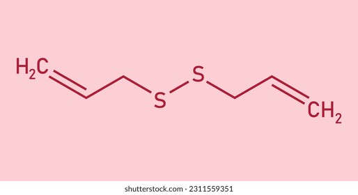 Chemical structure of Diallyl disulfide (C6H10S2). Chemical resources for teachers and students. Vector illustration isolated on white background.