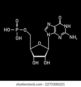 Chemical structure of DNA nucleotide. Three parts of a nucleotide. Phosphate group, pentose sugar and nitrogenous base. Nucleic acids. Vector illustration isolated on white background.
