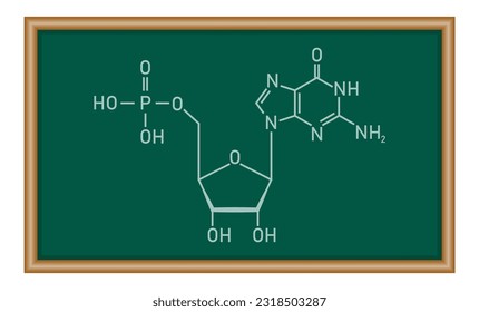 Chemical structure of DNA nucleotide. Three parts of a nucleotide. Phosphate group, pentose sugar and nitrogenous base. Nucleic acids. Chemistry resources for teachers and students.