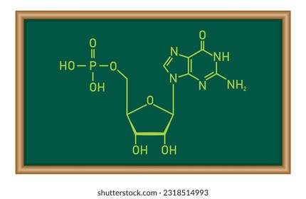 Chemical structure of DNA nucleotide. Three parts of a nucleotide. Phosphate group, pentose sugar and nitrogenous base. Nucleic acids. Chemistry resources for teachers and students.
