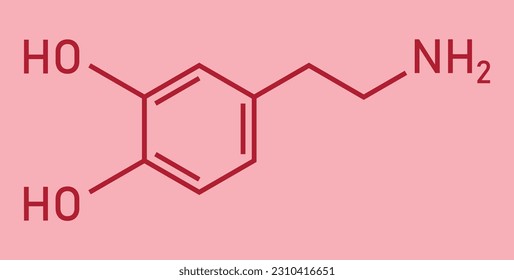 Chemical structure of Dopamine (C8H11NO2). Chemical resources for teachers and students. Vector illustration isolated on white background.