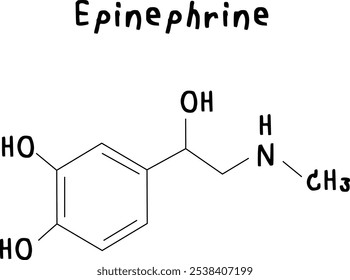 chemical structure of epinephrine on transparency backgroud