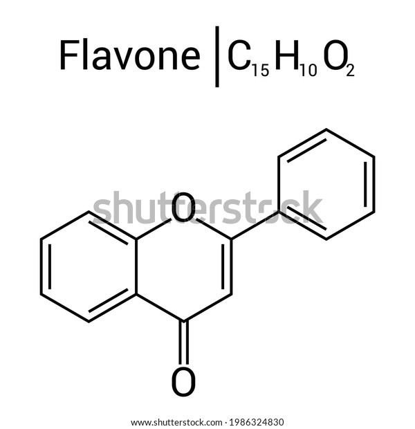 Chemical Structure Flavone C15h10o2 Stock Vector (Royalty Free ...