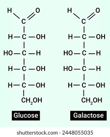 Chemical structure of Glucose and Galactose