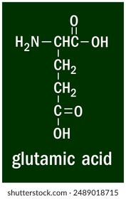 Chemical structure of glutamic acid