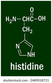 Chemical structure of the histidine