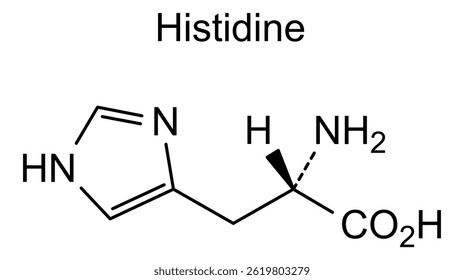 Estrutura química da histidina, substância medicamentosa