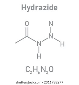Chemical structure of Hydrazide (C2H6N2O). Chemical resources for teachers and students. Vector illustration isolated on white background.