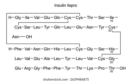 Chemical structure of insulin lispro, drug substance