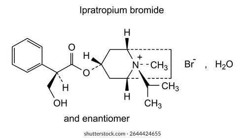Chemical structure of ipratropium bromide, drug substance