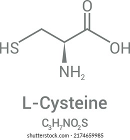 chemical structure of L-cysteine (C3H7NO2S)